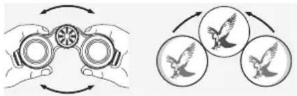 SWAROVSKI OPTIK CL Companion 10x30 B - EINSTELLUNG DES AUGENABSTANDES - 1