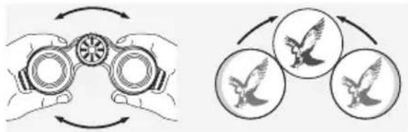SWAROVSKI OPTIK CL Companion 10x30 B - INSTELLING VAN DE OOGAFSTAND - 1