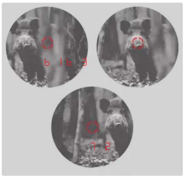 LEICA Geovid HDR 2700 8x42 - Remarque - 2