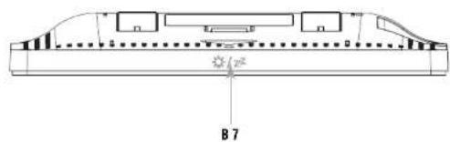 B 7
