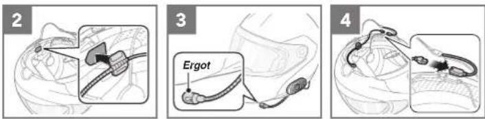 2 3 Ergot 4
