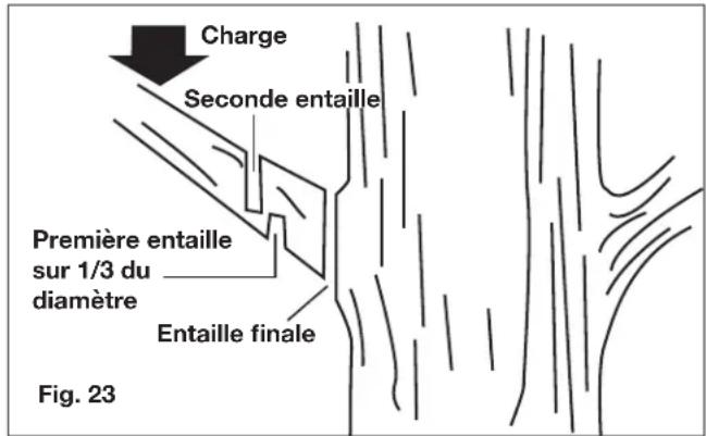 Sun Joe 24VPS10CT - Élagage - 1