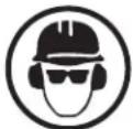Sun Joe SWJ800E - Safety Symbols - 6
