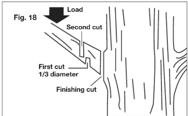 Sun Joe SWJ800E - Pruning - 1