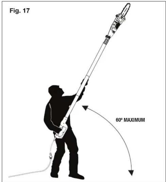 Sun Joe SWJ800E - Proper Cutting Stance - 1