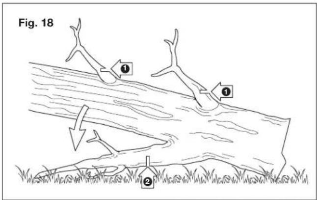 Sun Joe SWJ700E - - Limbing a tree - 1