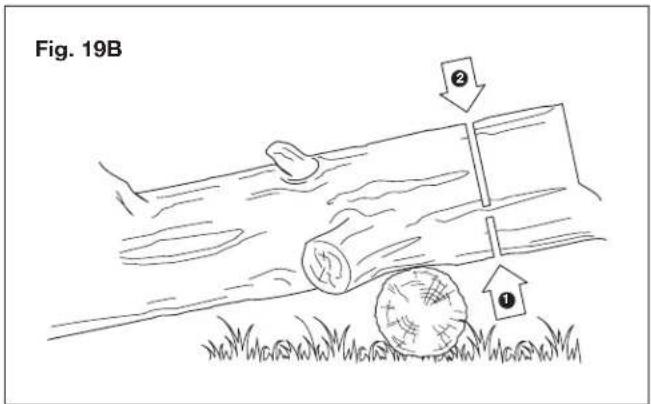 Sun Joe SWJ700E - Tronconnage d'une grume - 2