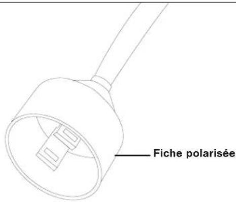 Snow Joe 320E - Branchement sur une source d'alimentation électrique - 1