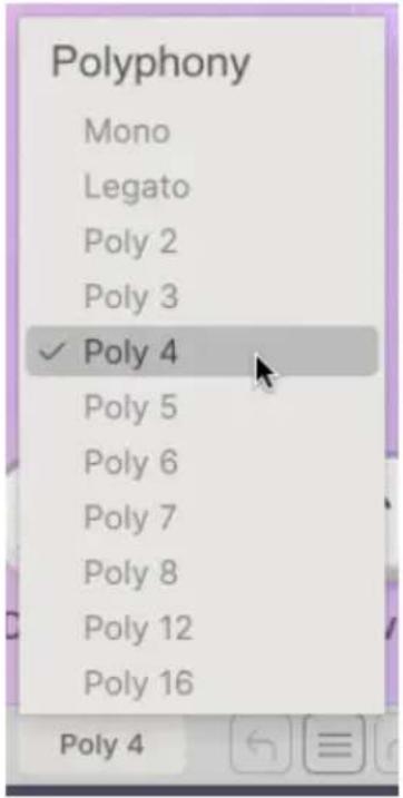 Arturia Augmented VOICES - Poly 8 - 5