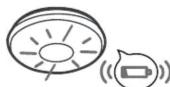 ANGELEYE SB5AEBNL - SIGNAL DE PILE FAIBLE - 6
