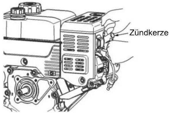Texas Snow King 568TG - Wartung der Zündkerze - 1