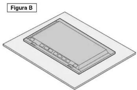 NEC PlasmaSync 60XR5 - Información - 1
