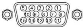 NEC PlasmaSync 60XR5 - Conector mini D-Sub 15-pin (Analógico) - 1