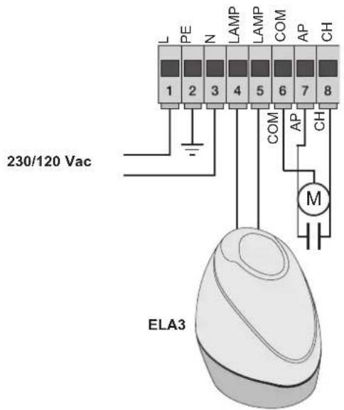 Vimar ELVOX ESM6.120 - 3.1-Cablage ligne d'alimentation, clignotant et moteur electrique - 1
