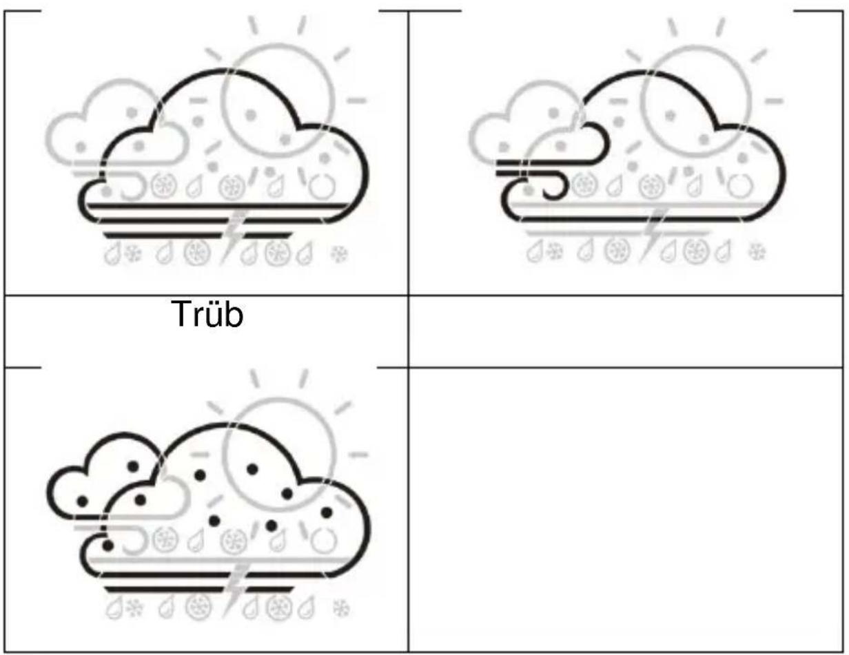 TECHNOLINE WS 9422 - Erklärung der Netzwetterversage - 7