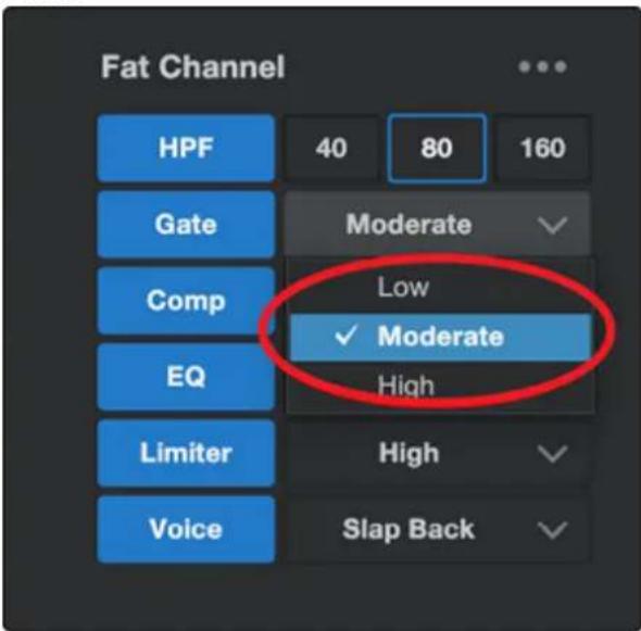 PRESONUS Revelator io44 - Fat Channel et effets de voix (Voice) - 4
