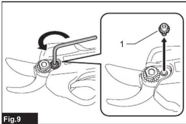 Fig.9 1