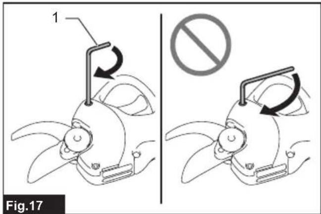 1 Fig.17