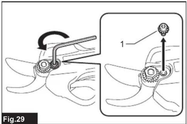 Fig.29 1