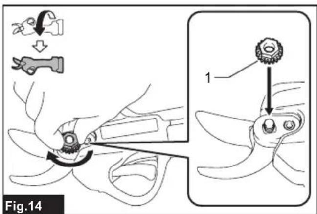 Fig.14