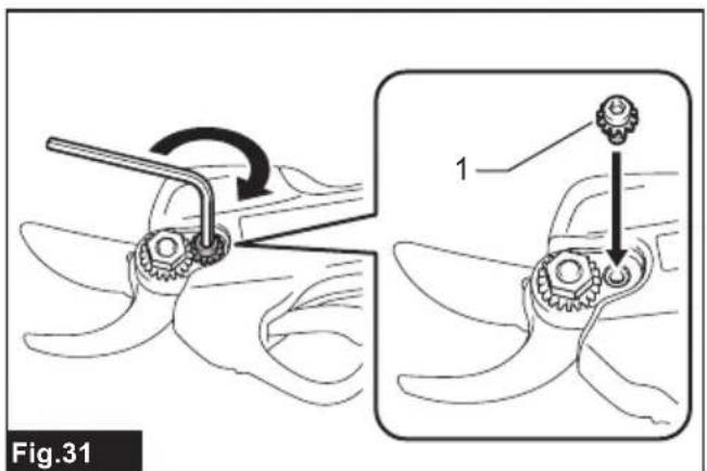 Fig.31