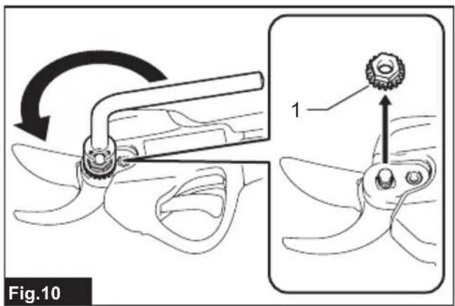Fig.10 1