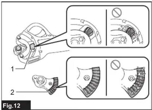 Fig.12