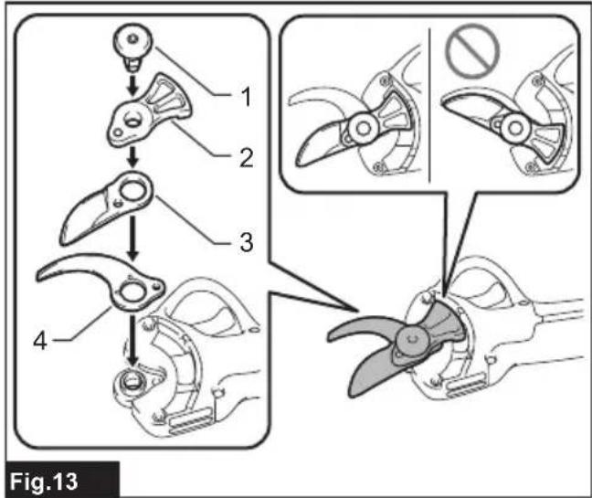 Fig.13