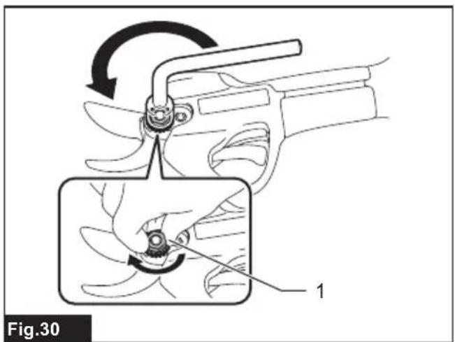 Fig.30 1