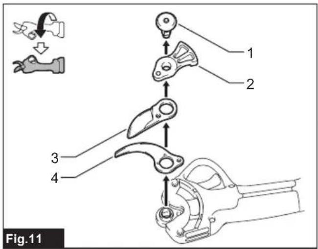 Fig.11