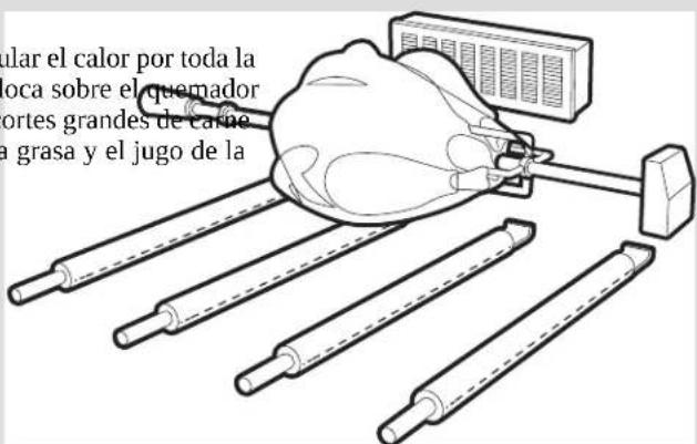 CHAR BROIL Performance 463259223 - Cocción indirecta - 3