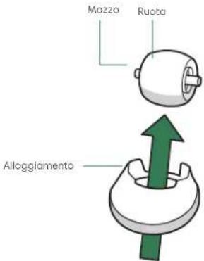 Mozzo Ruota Alloggiamento