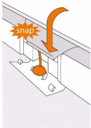 snap