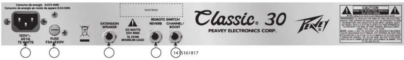 PEAVEY Delta Blues 210 - Pannello di controllo Classic® 30 - 2