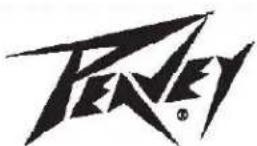 PEAVEY Delta Blues 210 - Caution - 1