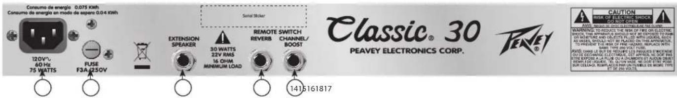 PEAVEY Delta Blues 210 - INPUT - 1
