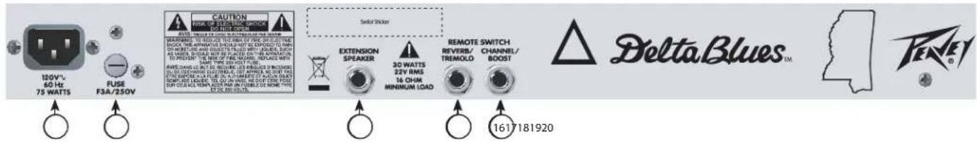 PEAVEY Delta Blues 210 - INPUT - 1