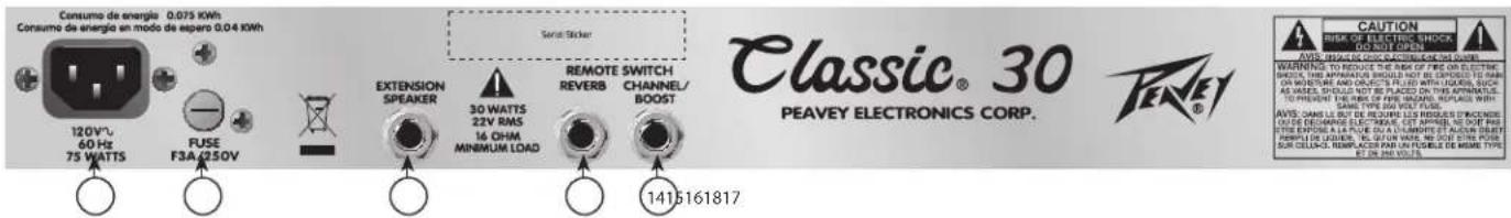 PEAVEY Delta Blues 210 - INPUT - 1