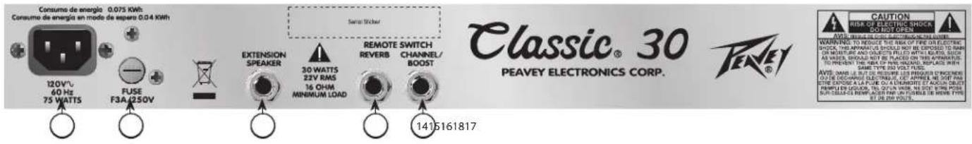 PEAVEY Delta Blues 210 - INPUTS - 1