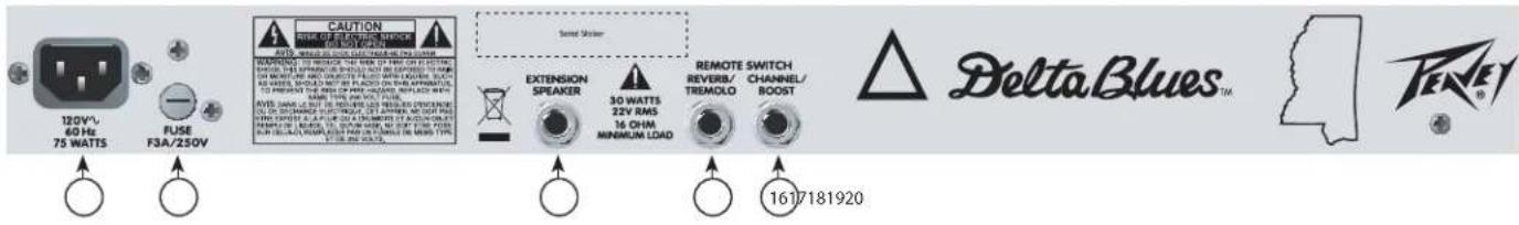 PEAVEY Delta Blues 210 - Delta Blues® Control Panel - 2