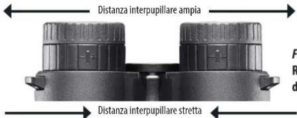 BUSHNELL Fusion X - REGOLAZIONE DELLA DISTANZA INTERPUPILLARE (IPD, INTERPUPILLARY DISTANCE) - 1