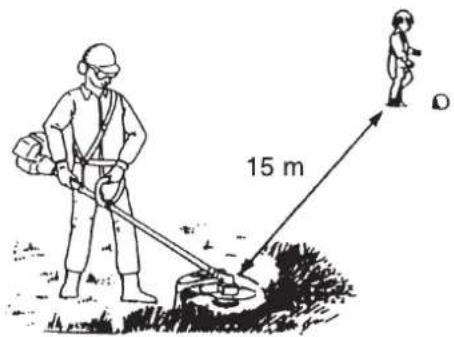 Shindaiwa T302TS - DANGER - 1