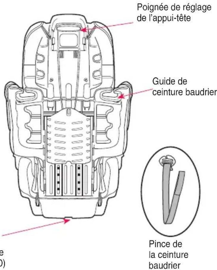 Evenflo GoTime Sport - Arrière - 2