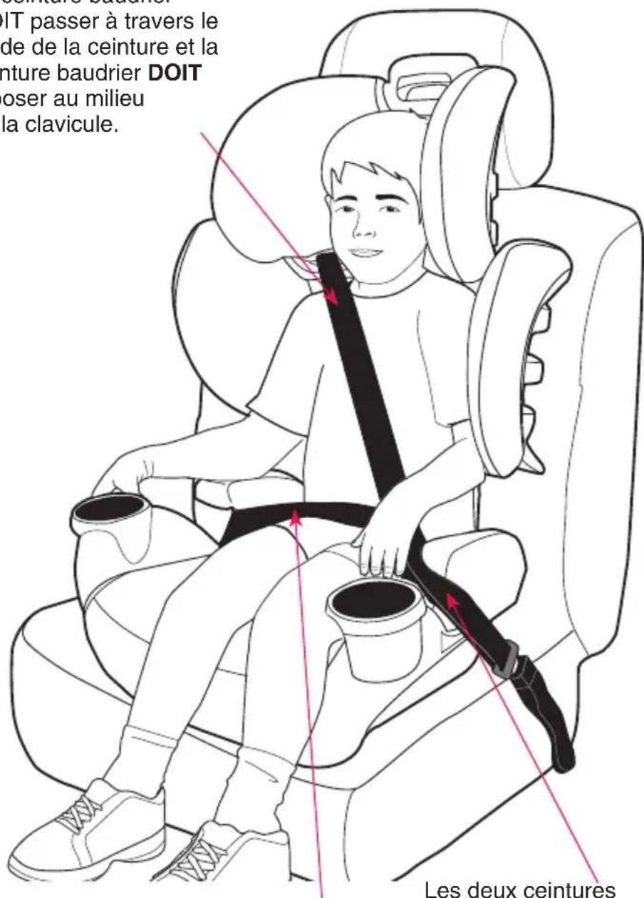 Evenflo GoTime Sport - Ceinture baudrier : - 1