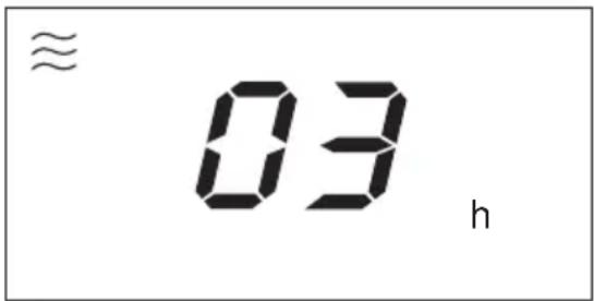 ≈ 03 h
