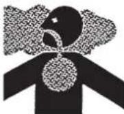 Maruyama EH230DSL - Operator Safety - 3