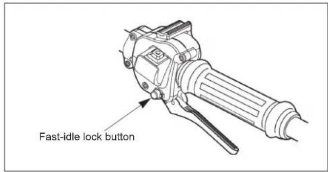 Maruyama EH230DSL - Cold Starting Procedure - 4