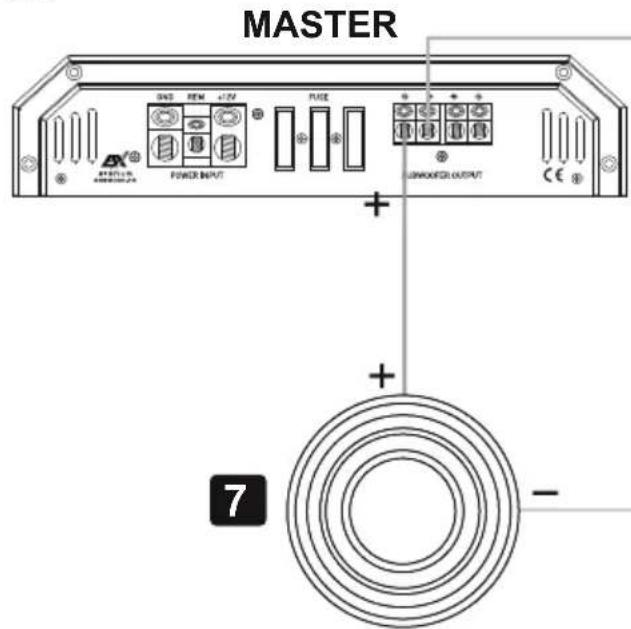 ESX Signum SXE2000.1D - Procedimiento 5: - 11