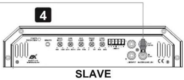 ESX Signum SXE2000.1D - Procedimiento 5: - 8