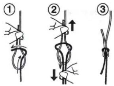 MEDION LIFE SO09 (MD 19169) - 14.Asa - 1